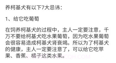 宠物点点v1.4.5截图