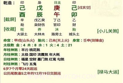 盲派八字v13.0.10截图