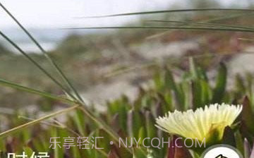 Facialv1.3.6截图