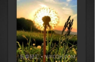 Fotor Photo Editorv6.5.1.5截图