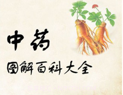 中药图解百科大全手机版v5.5.6截图