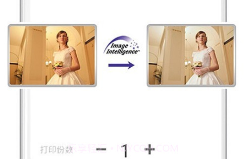 富士打印v5.11截图