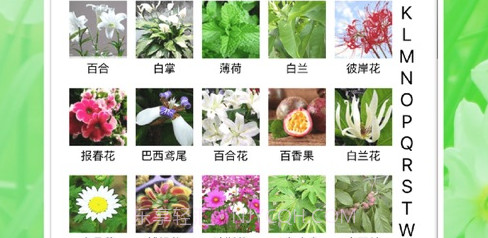 花草日记植物识别工具v1.0.12截图