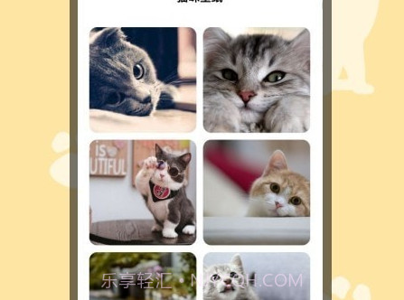 猫猫翻译器v1.15截图