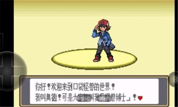 口袋妖怪黑白v3.0.8截图