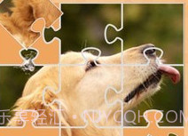 我爱天天拼图v1.1.8截图