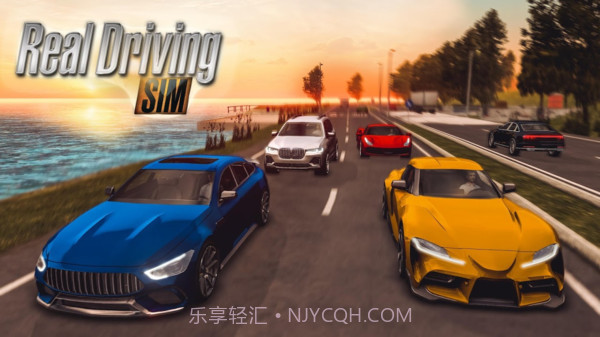 真实驾驶模拟v2.14截图