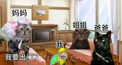 恐怖猫猫惊魂v1.10截图
