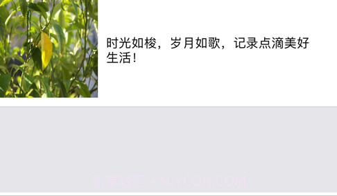 心情日记轻量版v1.12截图