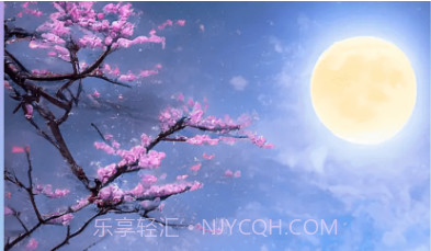 非凡智艺v1.0.8截图