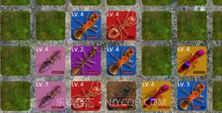地下蚁国蚁族崛起v3.0.5截图