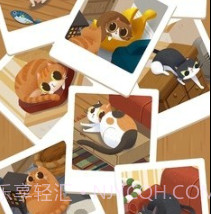 猫咪慵懒的日常v1.13截图