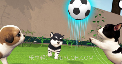 我的虚拟狗模拟器v1.0.12截图