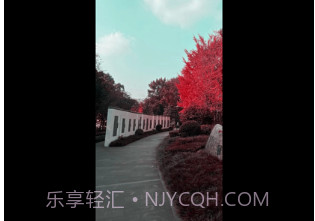 幻熊滤镜剪辑v1.7截图