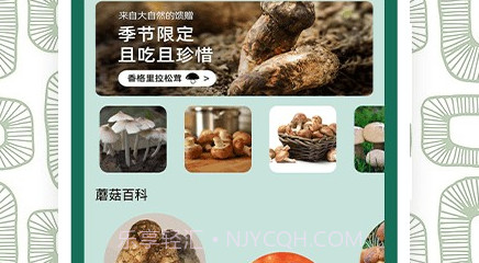 蘑菇识别助手v1.9截图