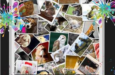 Instant Collagev2.5截图