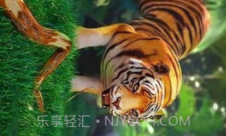 老虎模拟狩猎3Dv1.14截图