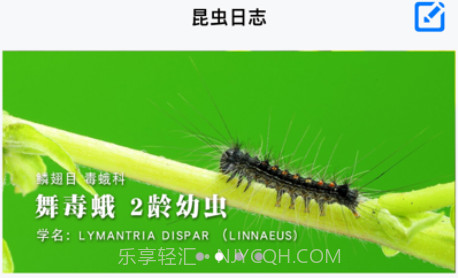 昆虫日记资讯v1.10截图