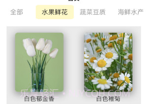 菜花优鲜v1.0.10截图