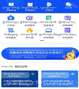 西藏政务服务平台v2.0.10截图