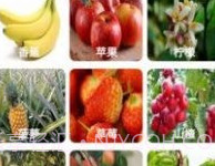 果园看看v1.3.14截图