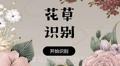 花草录植物识别v1.8截图