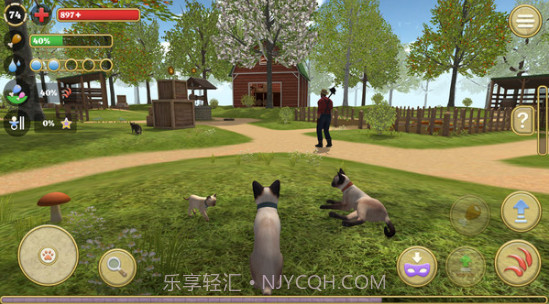 快乐猫猫传1.0.3截图