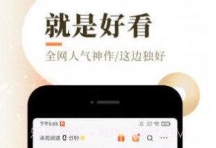天籁小说appv151.0.12截图