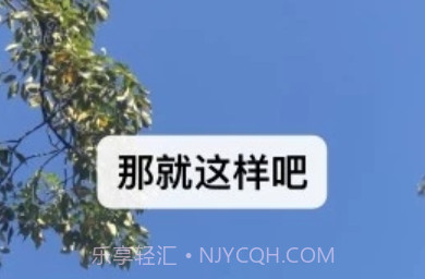 微信8.0.3正式版v1.7截图
