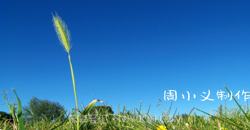 周小义灵敏度生成器v1.10截图