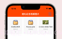 婚礼记录v1.10截图