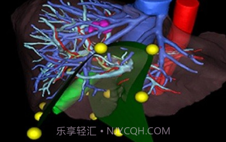 莲影v1.1.12截图