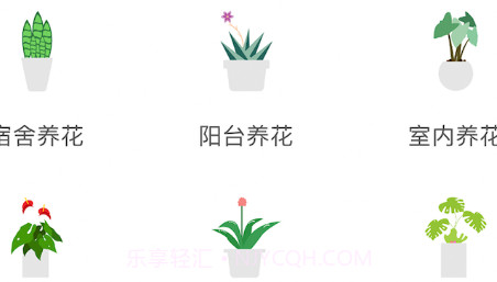 养花宝典v3.10截图