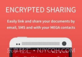 megav1.11截图