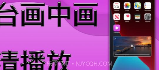 蜜柚播放器v1.18截图