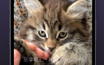 猫动态壁纸v1.11截图