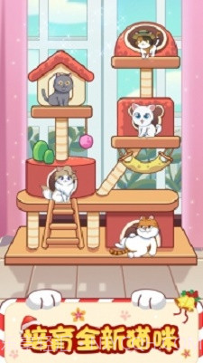 猫咪小家1.0.3截图