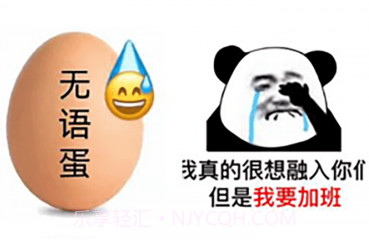 量子速写器v1.14截图