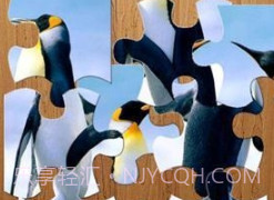 企鹅拼图游戏v9.7截图