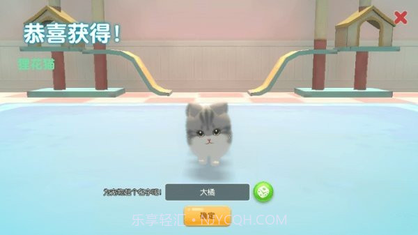 养了个猫无广告版不用实名1.4.2截图