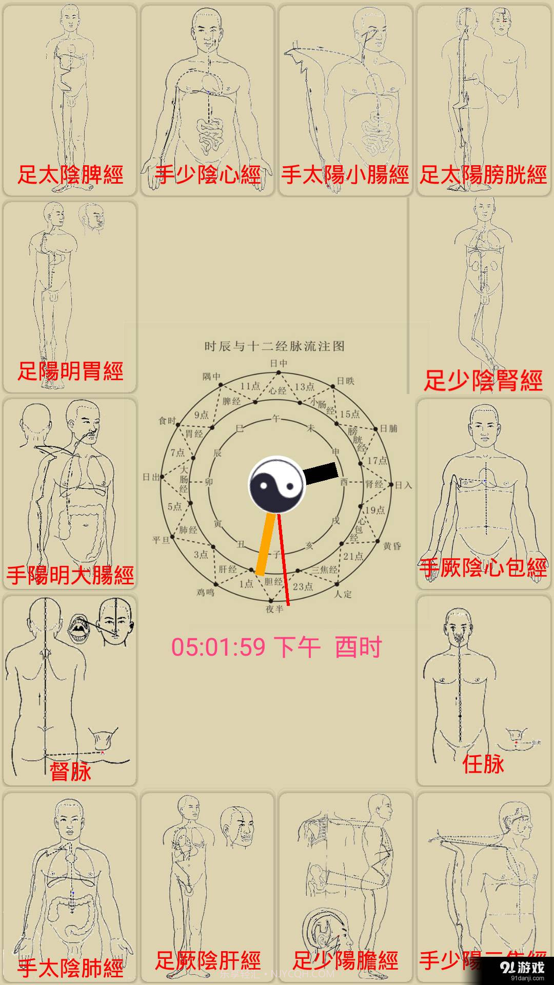 中医经络穴位流注2.5截图