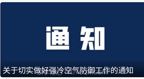龙港在线v1.0.16截图