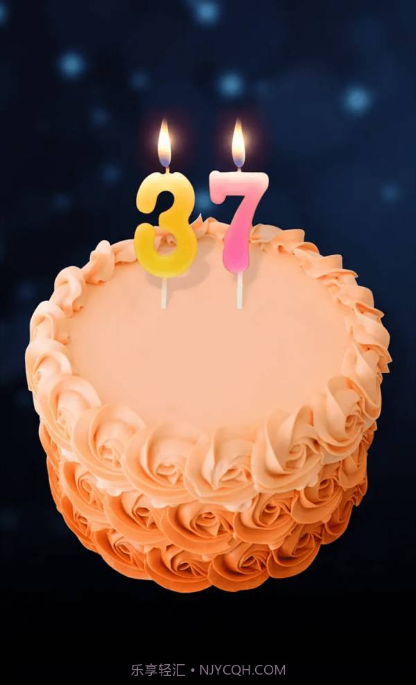手机里的生日蛋糕1.13截图