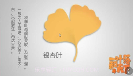 一叶落知天下v1.12截图