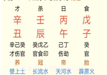 免费八字算命终生详批v1.8截图