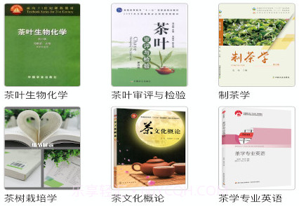 茶玩家v1.0.12截图