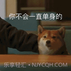玩图控v1.1.16截图