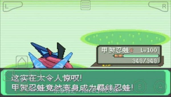 口袋妖怪:绿宝石802v3.10截图