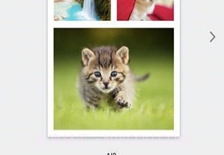 SELPHY Photo Layoutv3.0.9截图