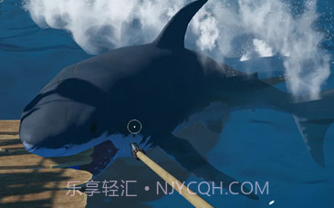 海贼漂流大冒险v1.13截图
